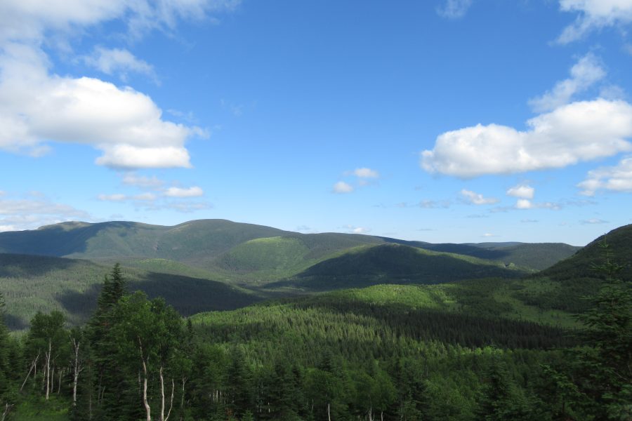 7 juillet mont albert laforce, parc national de la gaspésie